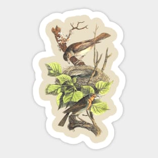 BIRDS ON THE NEST Sticker